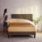 1800 Series Double-Brushed Microfiber Hypoallergenic Sheet Set-22057753-61322260