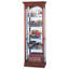 Brickey Lighted Curio Cabinet