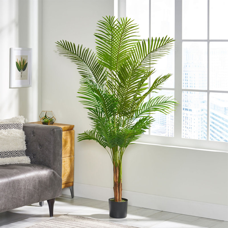 180CM ARTIFICIAL PALM TREE, 71 (in) x 43 (in)