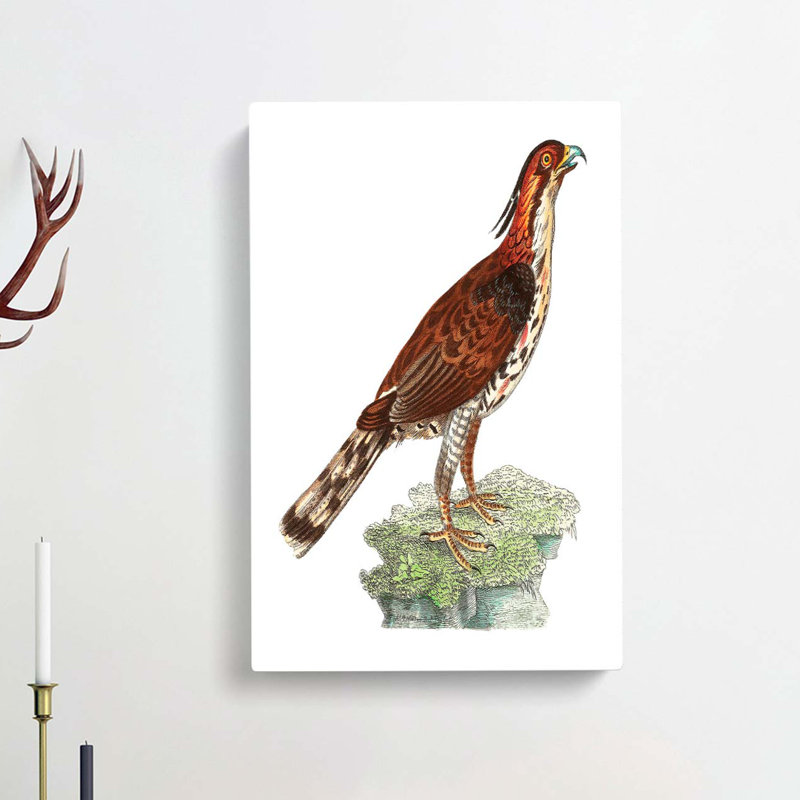 Falcon by George Shaw - Wrapped Canvas, 50cm H x 35cm W x 3cm D