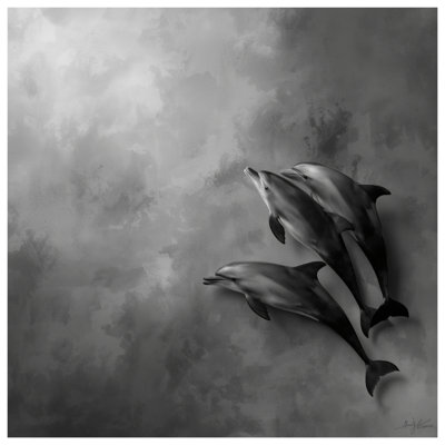 Three Swimming Dolphins Bedding Dolphins Bedspread Marine Life