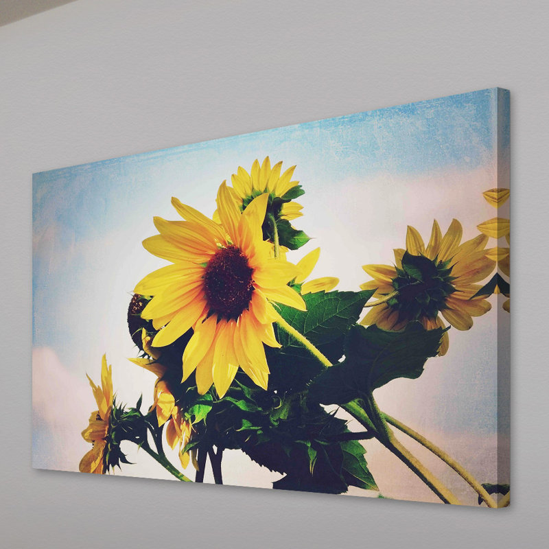 Sunflower by Sylvia Cook - Wrapped Canvas Print, 76cm H x 114cm W 