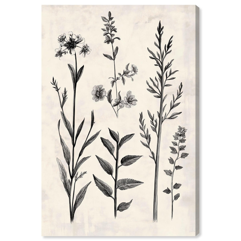 "Meadow Herbs II", reproduction d'art sur toile par Art Remedy, tendue avec châssis, 16 x 24, H 24 po x l 16 po