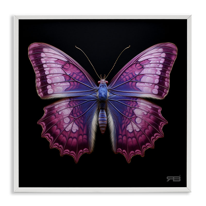 Art de la giclée de papillon mauve vif par Roozbeh Bahramali, Giclée encadrée blanc bord de mer, H 24 po x l 24 po