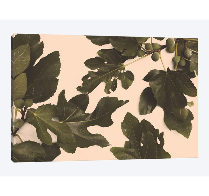 «Fig Tree» par Florent Bodart, impression sur toile tendue, H 26 po x l 40 po x P 1,5 po, Pas de tapis, Toile tendue