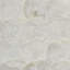 Abalone Wallpaper