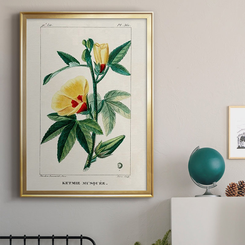 Turpin Tropical Botanicals VI, reproduction d'art encadrée, Or, H 42,5 po x l 30,5 po x P 1 po