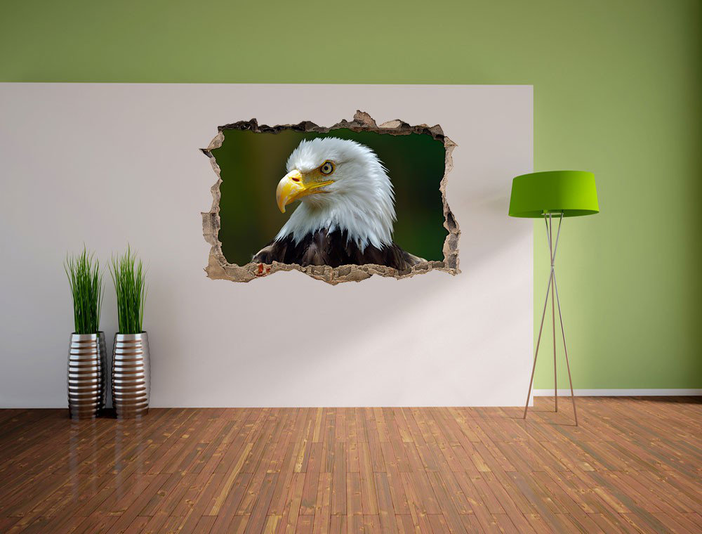 Anmutiger Weißkopfseeadler Wandaufkleber