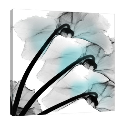 Teal Luster Cyclamen - Wrapped Canvas Print
