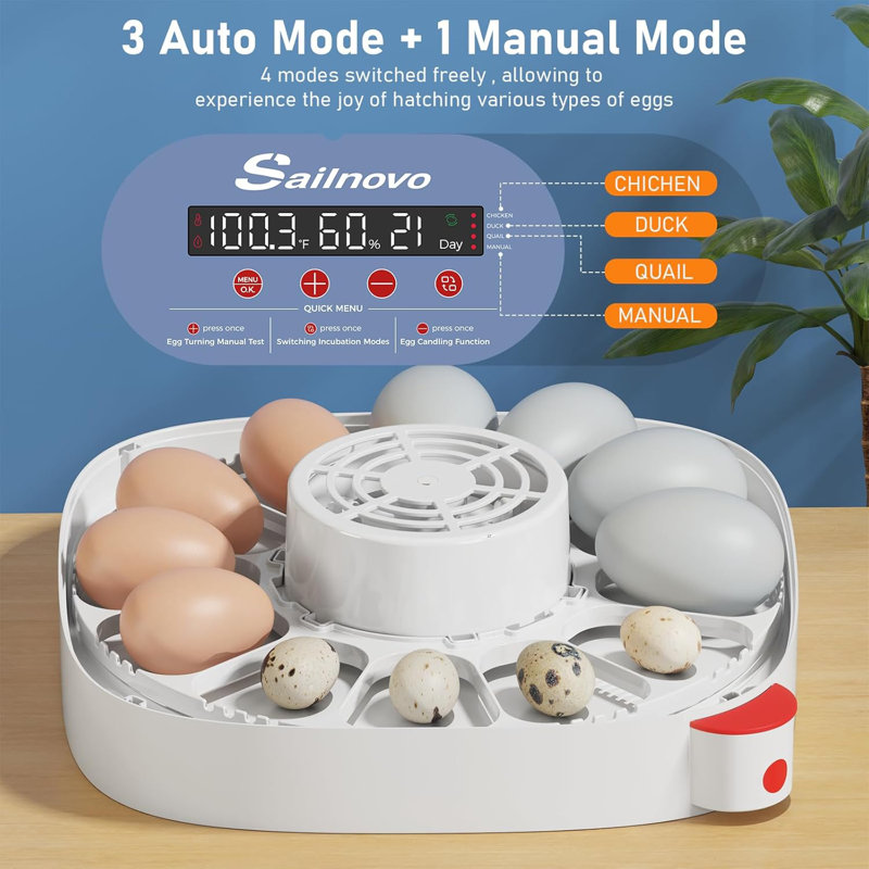 12 Egg Incubator with Automatic Egg Turning and Humidity Display, 4 Modes Incubators for Hatching Eggs with Bulit-in Candler, 360° View Clear Window, for Chicken, White, 11.2x11.2x7.6 inch