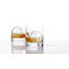 Whiskey Glass