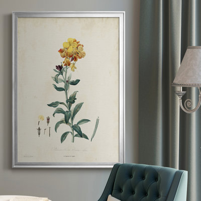 " Traditional Botanical III "