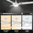 Fronniah 56'' Ceiling Fan with LED Lights-1633574676