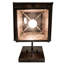 1 - Light Armed Sconce