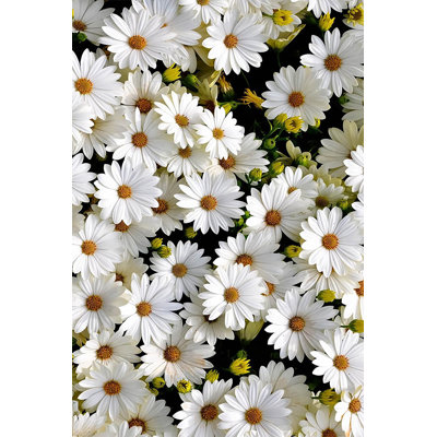 Tapis tissé de qualité supérieure, 5,2 x 7,5 pieds, 100% polyester, hauteur de velours de 0,3 po | Antibactérien, antidérapant, dessous lavable à la machine | Conception imprimée numérique 3D, idéale pour le salon et la chambre à coucher