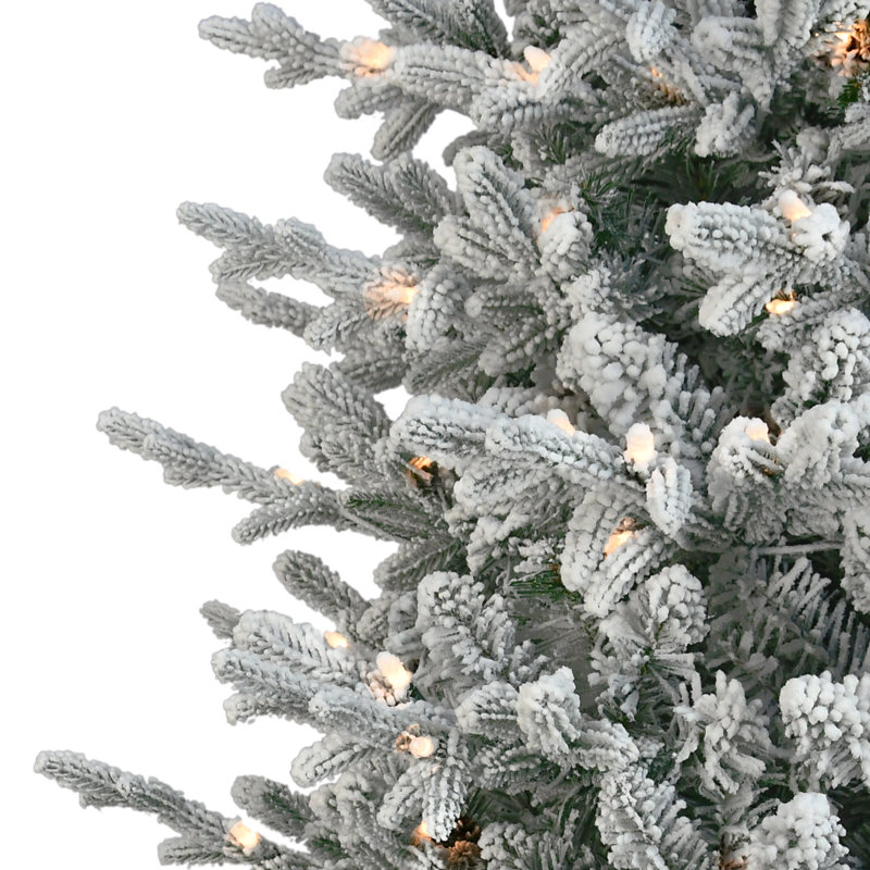 7.5' Lighted Spruce Christmas Tree