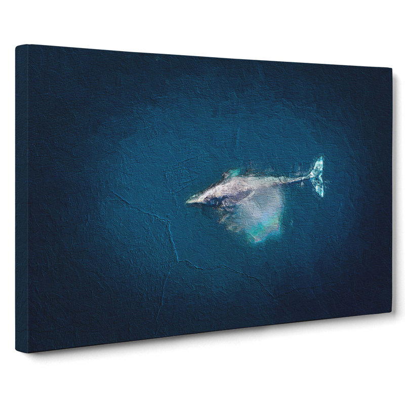 Swimming Dolphin - Wrapped Canvas, 35cm H x 50cm W x 3cm D