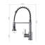 Breeins Kitchen Faucet Side Spray