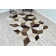 Meier Performance Abstract Indoor Rug