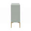 Accent Cabinet