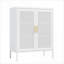 Armoires de rangement avec 2 portes 2 tablettes réglables | Armoire en acier et en métal pour la salle de gym de l'école à domicile | Blanc | Acier