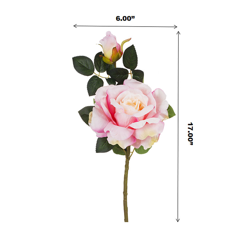 Fleurs et roses, Rose