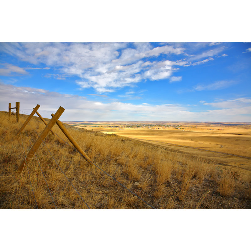 American Prairie par Kavram - Photographie sur toile tendue, L 12 po x H 8 po