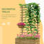 Elevated Planter