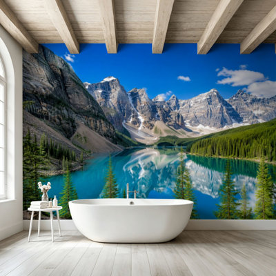 Peel and Stick Wallpaper Wall Mural jenny lake teton national park rocky mountainss pictures Wall Art Self Adhesive and Removable