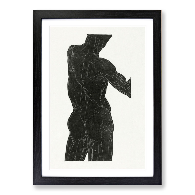 Anatomical Study of a Man Vol.10 by Reijer Stolk - Picture Frame Painting, 36cm H x 27cm W x 2cm D, Black