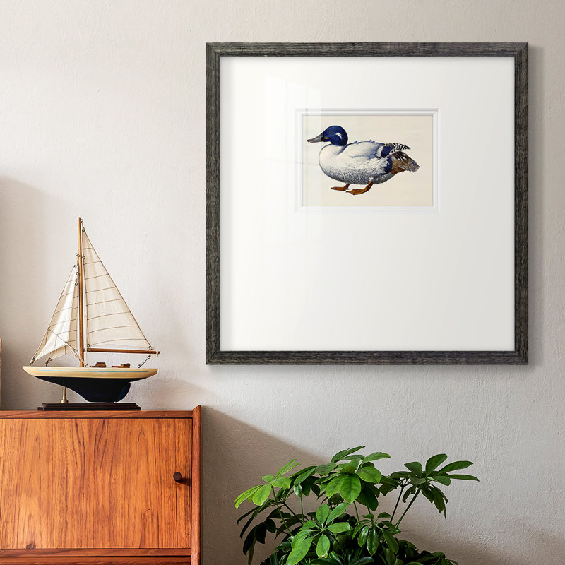 «White and Blue Mallardpremium», reproduction encadrée, H 17 po x l 17 po, Cadre noir