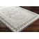 Alethea Southwestern Indoor Rug
