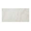 Famed 12 X 24 Iconic Matte
