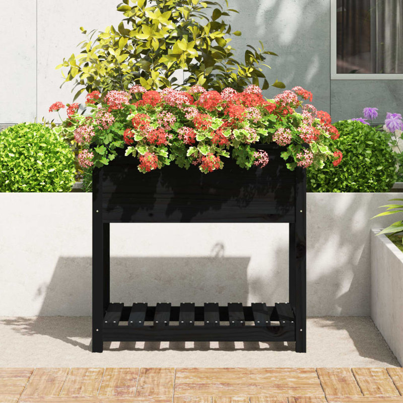 Aalap Wood Raised Garden Bed, 81cm H x 82.5cm W x 54cm D, Black