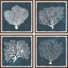Inverse Sea Fan V Quadriptyque