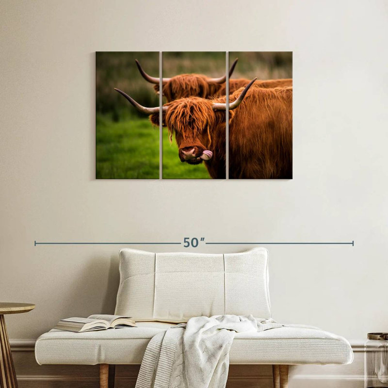 Brampt Fluffy Highland Cows, H 24 po x l 38 po