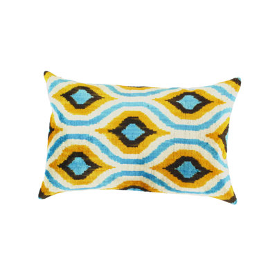  Indoor/Outdoor Pillow Cover and Insert
