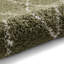 Pechler area rug Machine Woven Green-1296242723