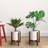 Ogallala Plant Stand-1928663465-1894657856