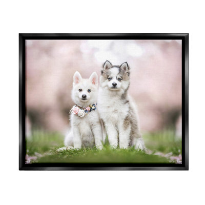 " Husky Puppies In Meadow " by Natalie Grosse