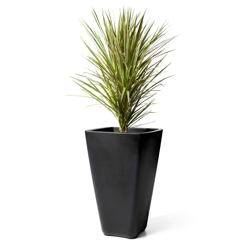 Pot Planter, Black