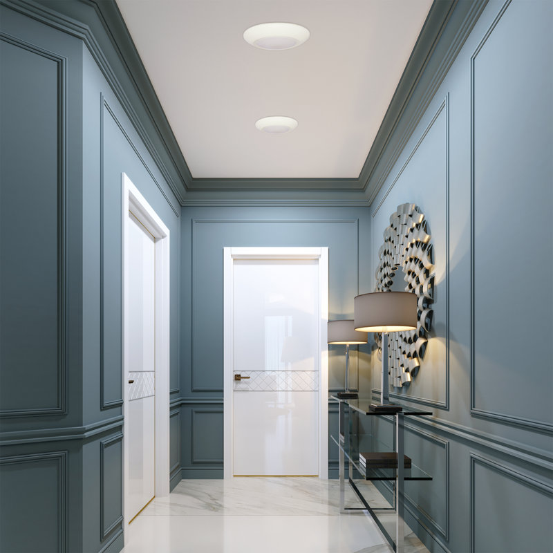 Wanner Acrylic LED Flush Mount