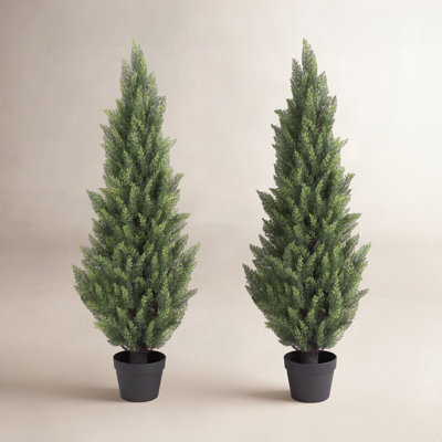 Cedar Topiary in Pot