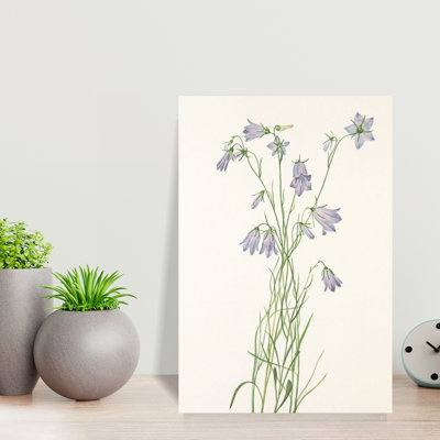 «Harebell From North American Wildflowers» par Mary Vaux Walcott, art mural contemporain