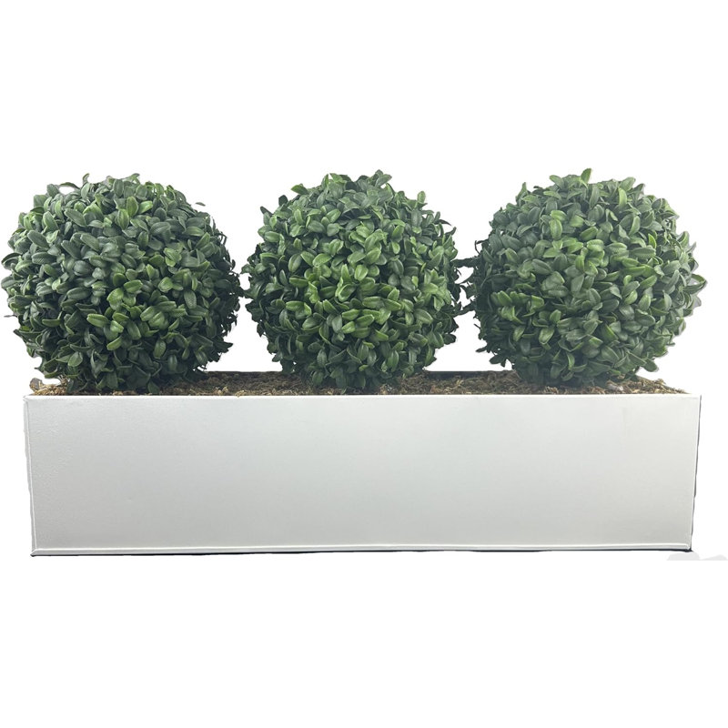 Topiary Ball (54cm) Window Box Black, Triple, White