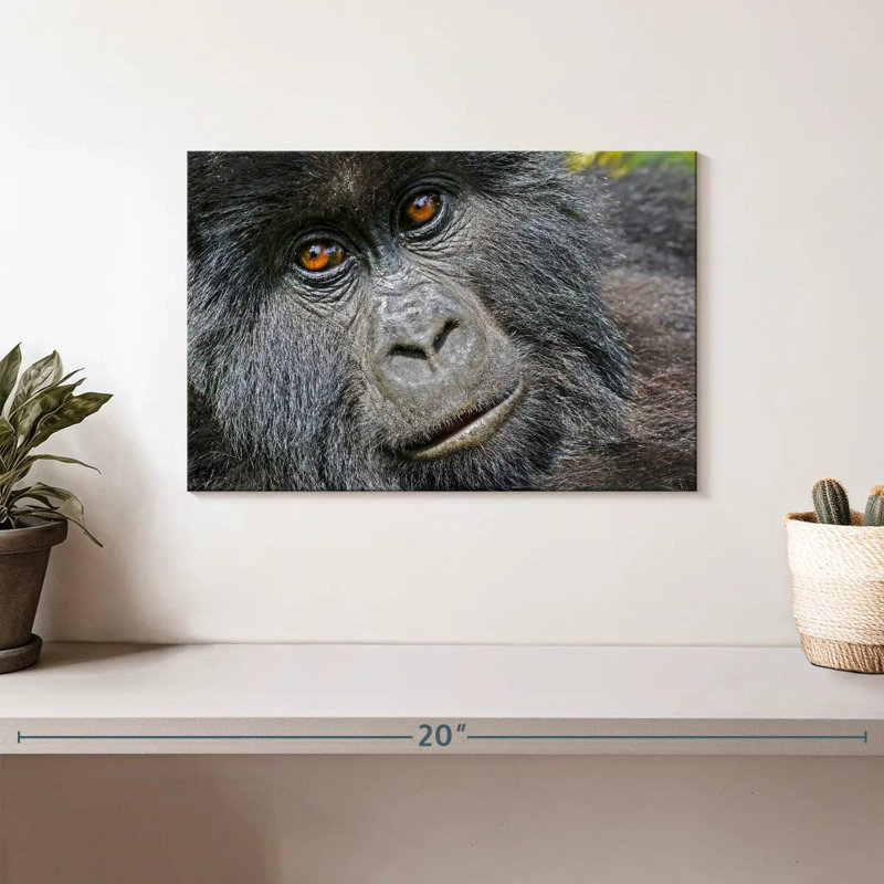 Gorilla Face, 8" H x 12" W
