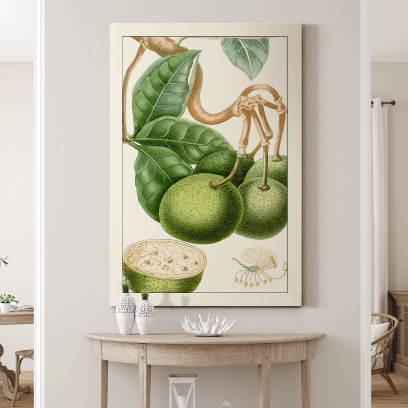 Reproduction d’art sur toile tendue « Turpin Exotic Botanical VI », H 48 po x l 32 po x P 1 po