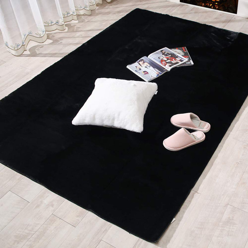 Tapis d'intérieur en polypropylène tissé Darelene, Rectangle 2 pi x 3 pi