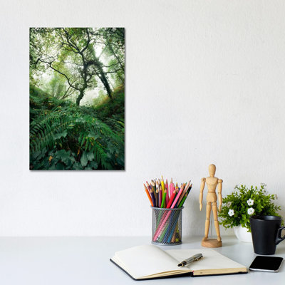 Inside The Woods by Stefan Hefele - Gallery-Wrapped Canvas Giclée on Canvas