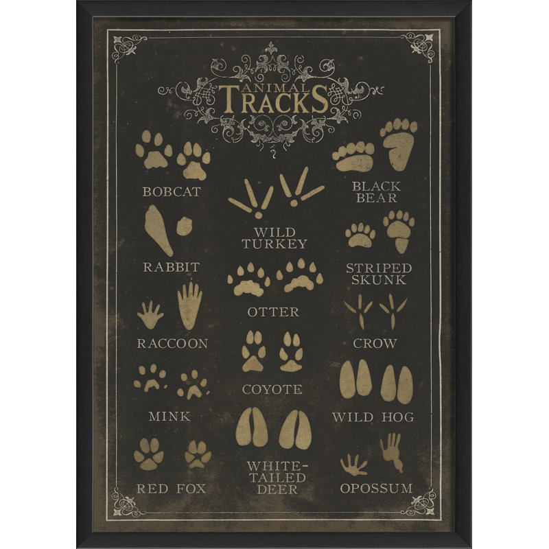 « animal tracks », impression encadrée